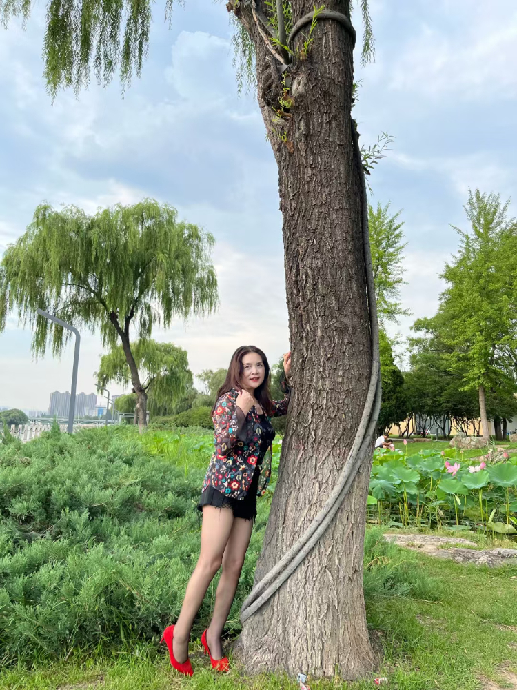 mmexport1731568437237.jpg mmexport1731568437237.jpg